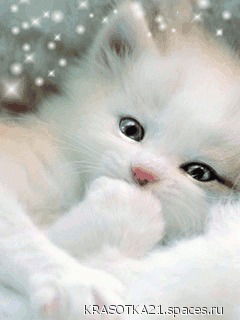 Оксана Моисеенко