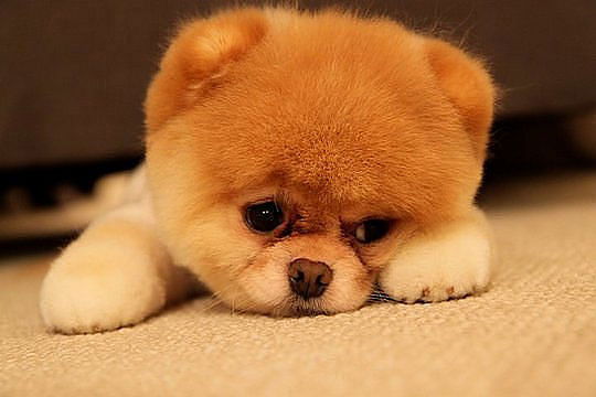 Виктория Не Скажу