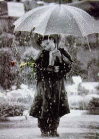 Виктория Анисимова