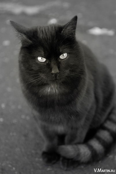 Ирина Юмашева