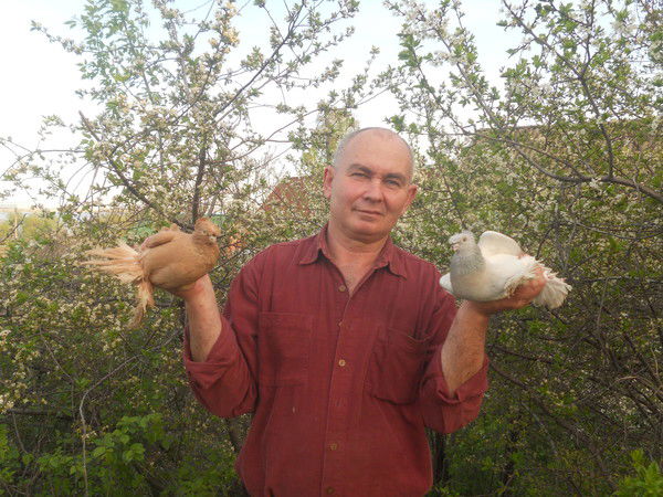 Михаил Трамбач