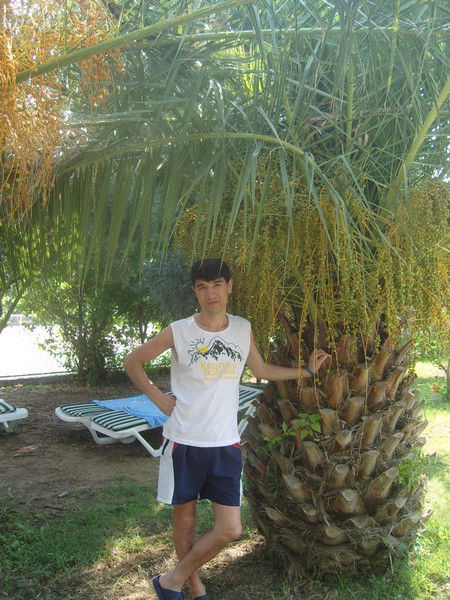 Талгат Джамиев