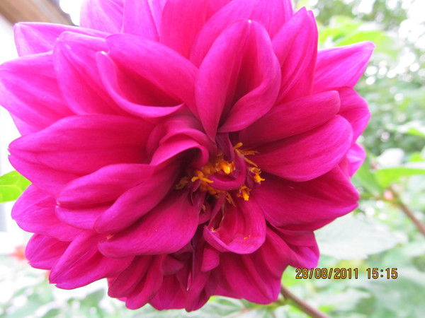 Юлия Охремчук