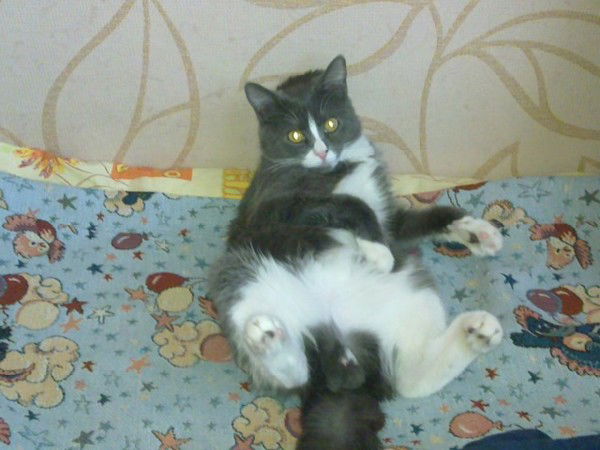 Дмитрий Сахаров