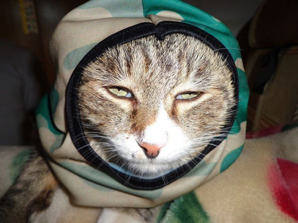 Денис Летунов