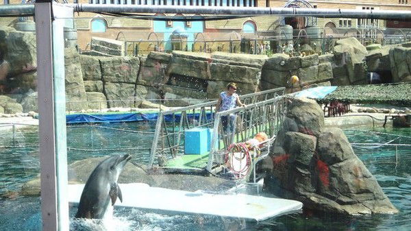 Наталья Шемякина