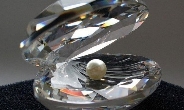 Жемчужина Перламутровая