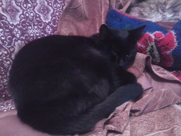 Татьяна Едная