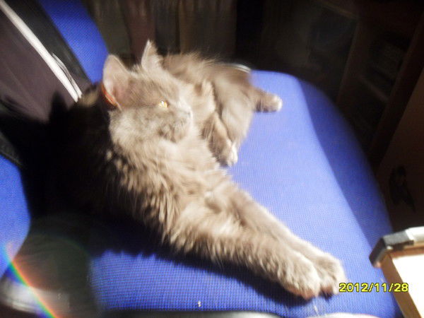 Татьяна Просто Татьяна