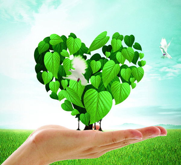 Детский Сад Балауса