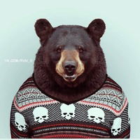 Жэня Поливода