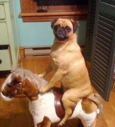 Боря Шамаев