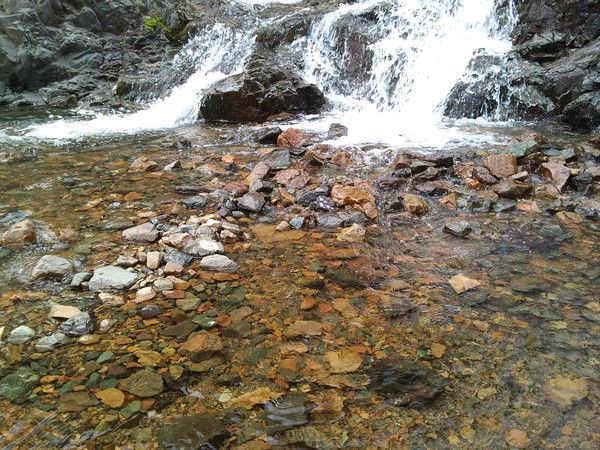 Александр Грещенков