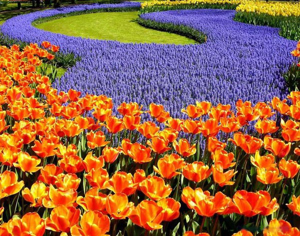 Улмекен Кулжанова