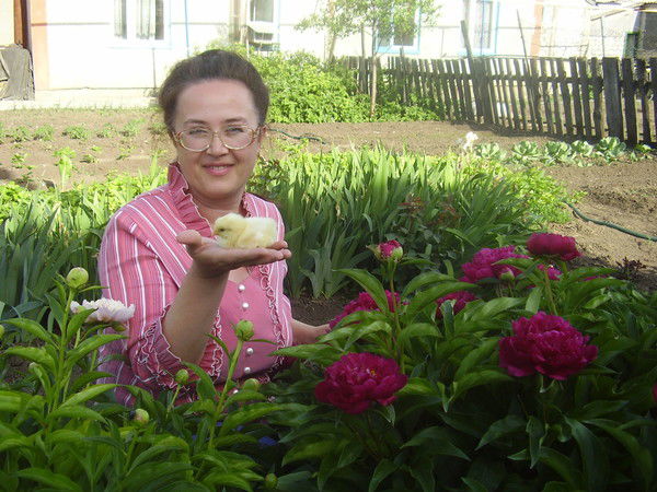 Людмила Корниенко