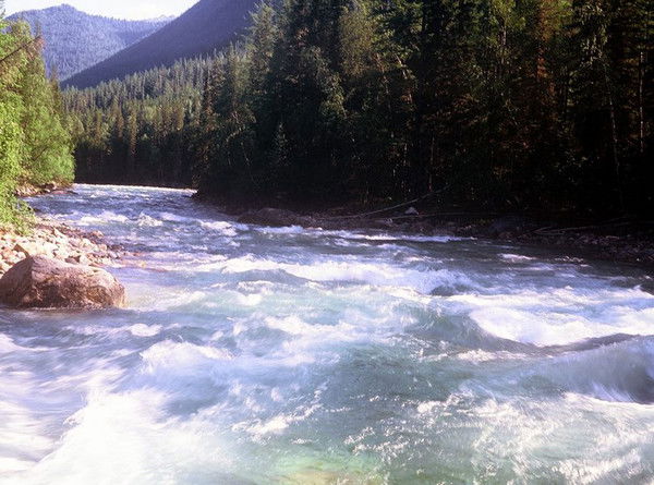 Владимир Соломянчук