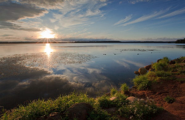 Наталья Артеменко