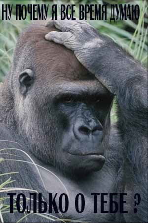 Александр Корнейчук