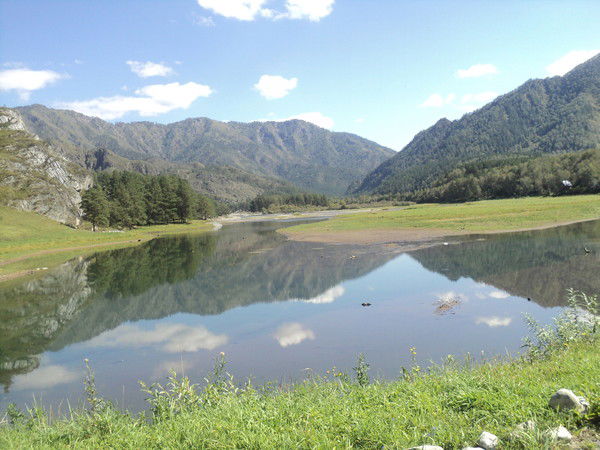 Светлана Клюева