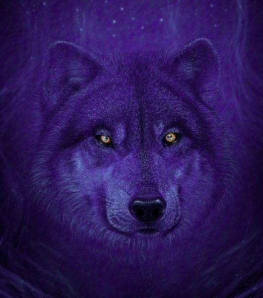 Антон Кувардин