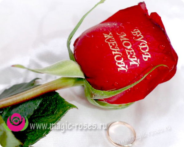 Равия Шабанова