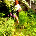 Елена Короткова