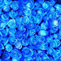 Кумысай Андирова