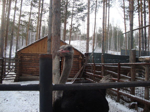 Татьяна Копытова