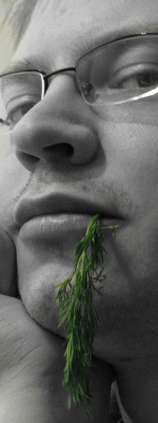 Илья Пименов