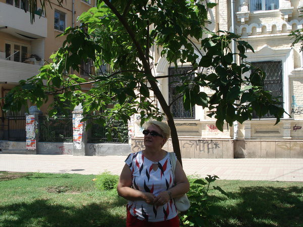 Лариса Демина