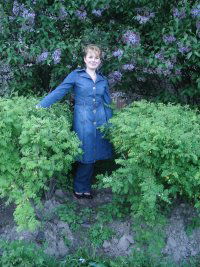 Анна Митрофанова