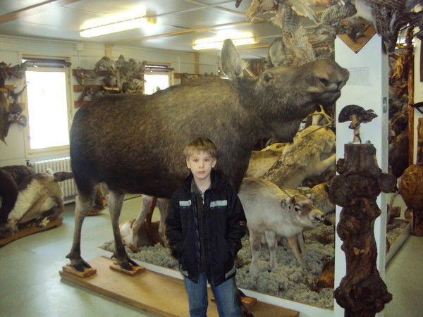 Максим Серебренников