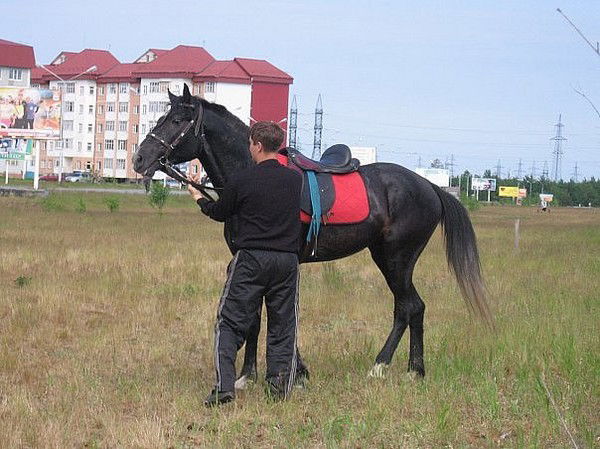 Вадим Викулов