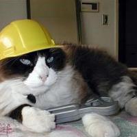 Эжен Габриель