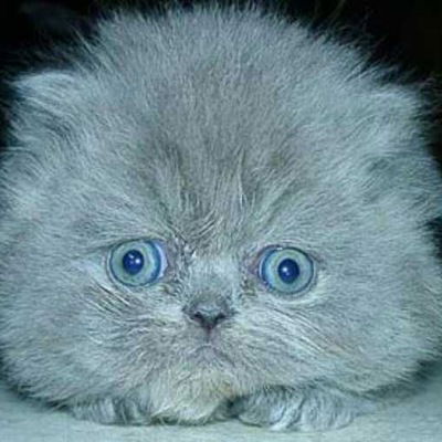 Ксюша Патрахина