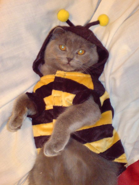 Светлана Абкина