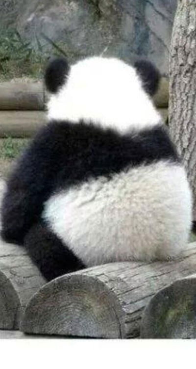 Елена Зайцева