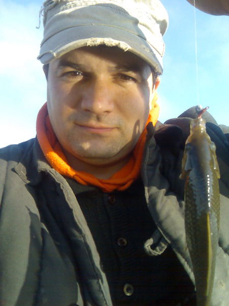 Алексей Сергиенко