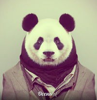 Егор Ефимов