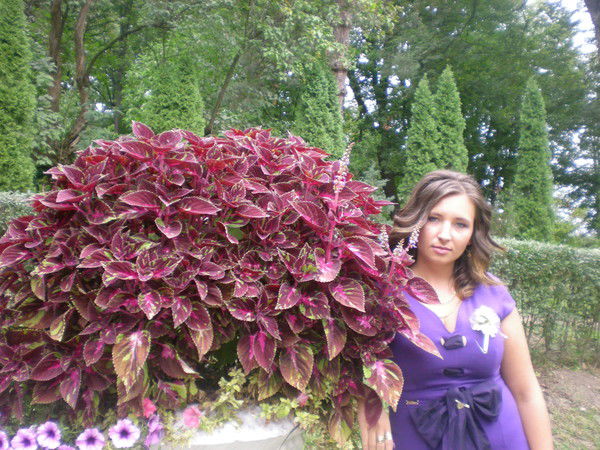 Альона Берьозкна