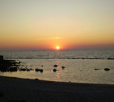 Наталья Русанова