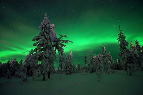 Натан Харин