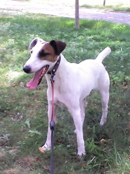 Константин Яблонский