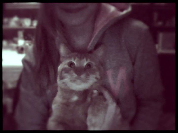 Мария Бенеш