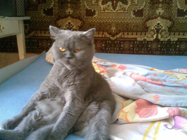 Юля Удодова