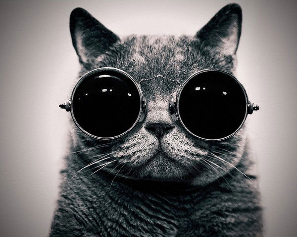 Антон Смирнов