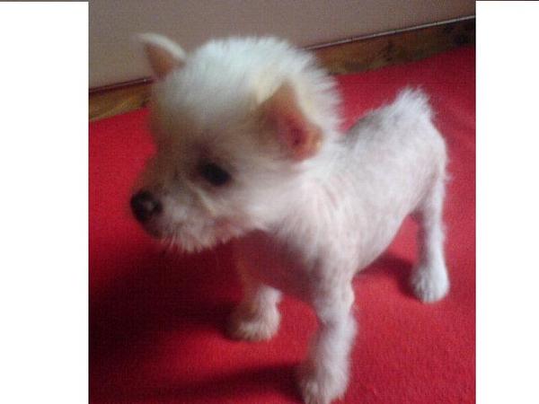 Юлия Зинченко