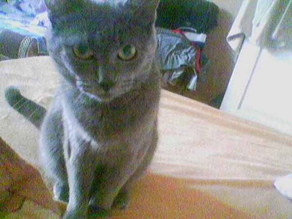 Александр Антипин