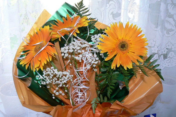 Татьяна Ванюшкина