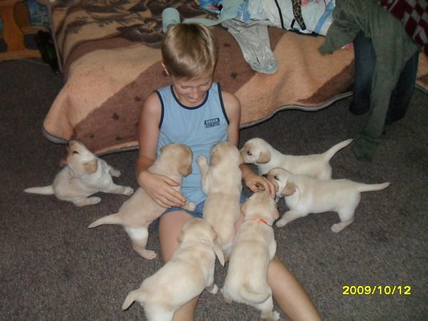 Кирилл Островский